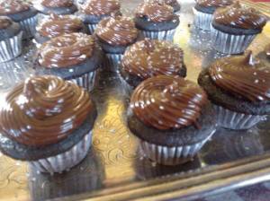 chocolate cupcakes